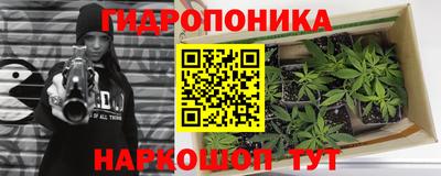 гидра Кандалакша