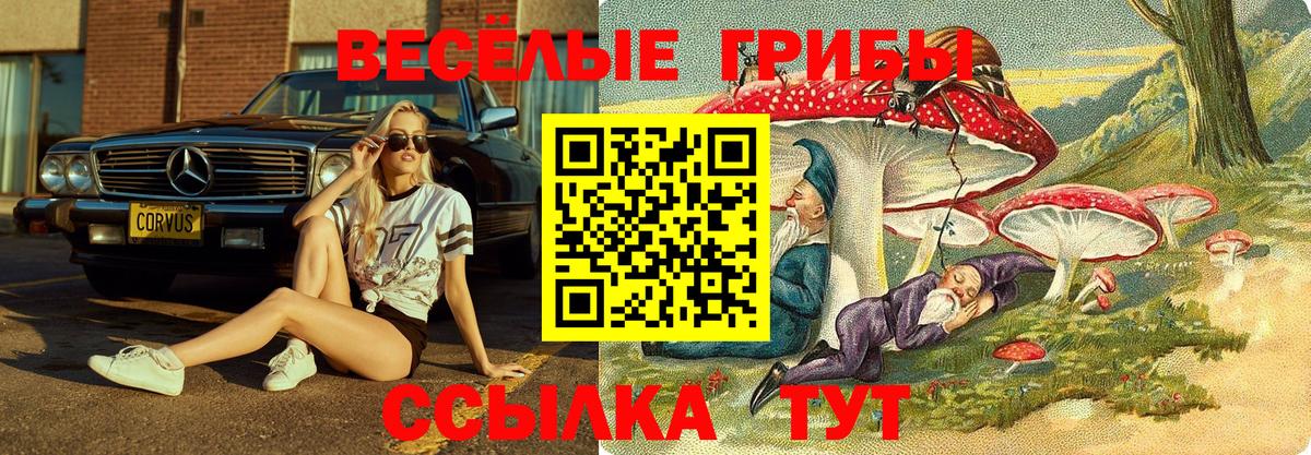 Псилоцибиновые грибы прущие грибы  Вход с VPN  Курчалой 